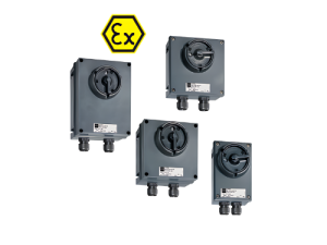 Load disconnect switch Series 8146/5-V11
